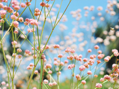 2019微信朋友圈勵志晚安心語帶圖片 早安晚安勿忘心安