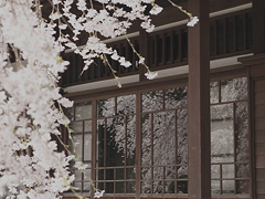 14條很美很好聽的文藝唯美說說帶圖片 森系文藝范古風(fēng)說說