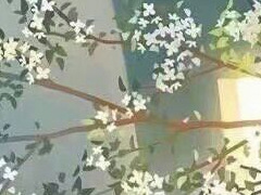 唯美優(yōu)美的文藝說說帶圖片 是我如今焚琴煮鶴忘了曾經(jīng)風(fēng)花雪月