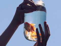 2018發(fā)朋友圈的精辟心情說說帶圖片 朋友圈轉(zhuǎn)發(fā)過萬的說說配圖