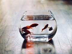 成長之路上遇到的一些經典哲理說說配圖 很有道理的精辟說說發(fā)朋友圈