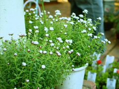 致自己的人生經(jīng)典說(shuō)說(shuō)帶圖片 最新朋友圈經(jīng)典說(shuō)說(shuō)人生哲言