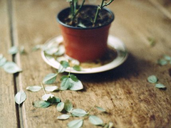 字里行間寫盡了詩(shī)意和文藝的唯美說(shuō)說(shuō)帶圖片