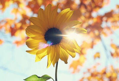 堅強的說說帶圖片：沒有傘的孩子，必須努力奔跑！