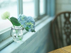 唯美文藝說說帶圖片 想做一個長長的夢回到十九歲那年