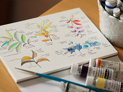 超唯美文藝的說說帶圖片 你看沒看見我都盛開風來不來芬芳都在