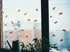 關(guān)于青春成長的哲理雖然簡單一句話但是很有道理的說說帶圖片