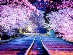 傷感說說帶圖片：我曾路過你的心，不是我不想停留而是你不肯收留