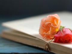 最新說說帶圖片：愛情就是這樣，有些人寧愿疼死，也不愿意放開