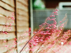 知性女人用的唯美朋友圈說說圖片 剪一段愛的時(shí)光永久收藏