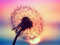 心情說(shuō)說(shuō)帶圖片：有一個(gè)人，讓你曾經(jīng)發(fā)了瘋的想，如今拼了命的忘