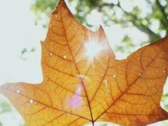 唯美時(shí)尚愛情說說帶圖片 很好看的唯美愛情說說精選