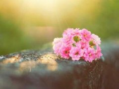 帶圖片的經(jīng)典說(shuō)說(shuō)：我們都曾不堪一擊，但時(shí)間讓我們刀槍不入