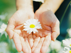 優(yōu)美說說唯美的句子配圖：海底月是天上月，只是鏡花水月