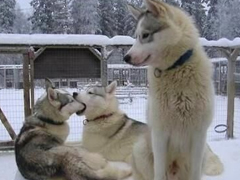 很有內涵的搞笑說說圖片最新版 有意思的內涵段子說說