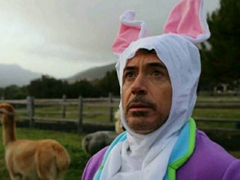 七夕情人節(jié)發(fā)什么說說搞笑 2018七夕發(fā)朋友圈搞笑說說段子加配圖