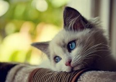 朋友圈搞笑說說配圖：老師，你看上哪個家長就直說，別老開家長會