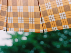 很現(xiàn)實的人生感悟空間說說大全 關(guān)于成長和成熟你需要知道的說說