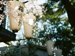 文字控最愛唯美詩(shī)意的圖片句子 所有的記憶都是潮濕的