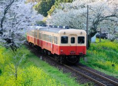 經(jīng)典說說帶圖片別人必評：如果再見不能紅著眼，是否還能紅著臉