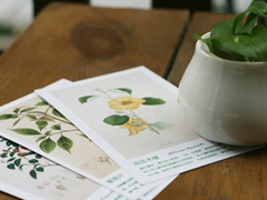 關(guān)于愛(ài)情的有意思的文藝句子 愛(ài)她是我做過(guò)的最好的事