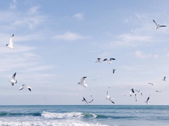 2018最勵志的關于青春和成長的圖片說說 有夢想就能看到未來