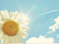 關(guān)于讀書閱讀的哲理精辟有道理的說(shuō)說(shuō)帶圖片