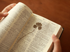 充滿少女心的愛情小句子帶圖片 能遇見你感覺就像是得到了上天的眷顧