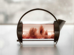 關(guān)于愛情的簡單有哲理的句子帶圖片 不要貪心找到那個(gè)對(duì)的人就第一時(shí)間決定吧