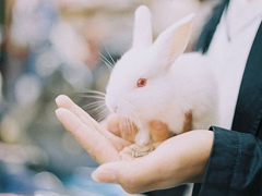 關(guān)于愛情簡單又有道理的句子配圖 愛情是一個人的天荒地老