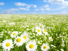 勵志說說圖片素材：你現(xiàn)在所受的苦，日后都將成為你驕傲的資本