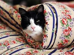 突然一瞬間悲傷難過的傷感說說帶圖片 抖音上很火的觸動(dòng)人心的傷感說說