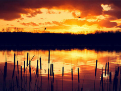 晚安說(shuō)說(shuō)勵(lì)志好心情一句大全帶圖片 簡(jiǎn)單一句晚安心語(yǔ)勵(lì)志配圖