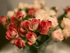 朋友圈個性說說2019最火爆的帶圖片 對我好的人請放心不會把你弄丟的