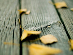 獨(dú)一無(wú)二微信個(gè)性說說帶圖片 路那么長(zhǎng)少一些人也無(wú)妨