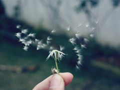 痛到心碎的傷感說說配圖 生活很現(xiàn)實的傷感說說