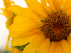 2019經(jīng)典語(yǔ)錄人生感悟 靠天靠地還要靠自己