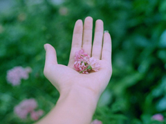 有種淡淡心酸的個(gè)性說(shuō)說(shuō)帶圖片 文字控喜歡的文藝個(gè)性說(shuō)說(shuō)配圖