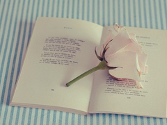 國內(nèi)國外很經(jīng)典的電影臺詞經(jīng)典語錄 關于人生愛情的精辟電影臺詞