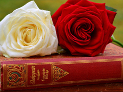 2019復(fù)活節(jié)朋友圈祝福語(yǔ)大全 復(fù)活節(jié)微信經(jīng)典語(yǔ)錄