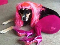 適合社會(huì)人的個(gè)性說(shuō)說(shuō)帶圖片：一巴掌拍醒所有癡心和妄想