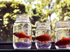 關(guān)于青春和成長的適合文藝女生發(fā)說說的句子帶圖片