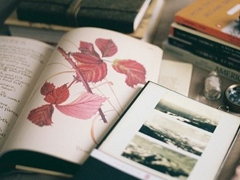 有點(diǎn)傷感的愛情說說帶圖片 失去一個(gè)人后是什么感覺