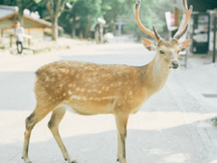 表示無聊的朋友圈說說帶圖片：無聊，是人生的一種正?，F(xiàn)象