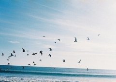 悲傷的說說帶圖片：也許他只是曖昧成癮，而你卻走了心