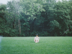 激勵我們在人生之路上繼續(xù)走下去的勵志句子 很正能量陽光的句子