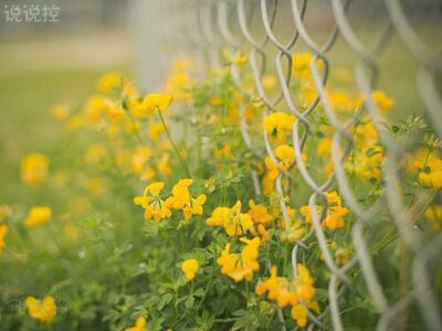 傷感圖片說(shuō)說(shuō)：你突然對(duì)我這么冷淡，是不是在為別人赴湯蹈火