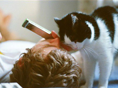 一些國(guó)外小說影視電影中的經(jīng)典英文句子精選