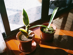 搞笑句子合集能笑死人的那種 2019朋友圈最吸引人的有趣句子