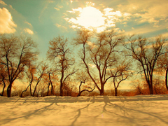 新的一年新的開始的哲理句子 充滿陽光的正能量句子大全